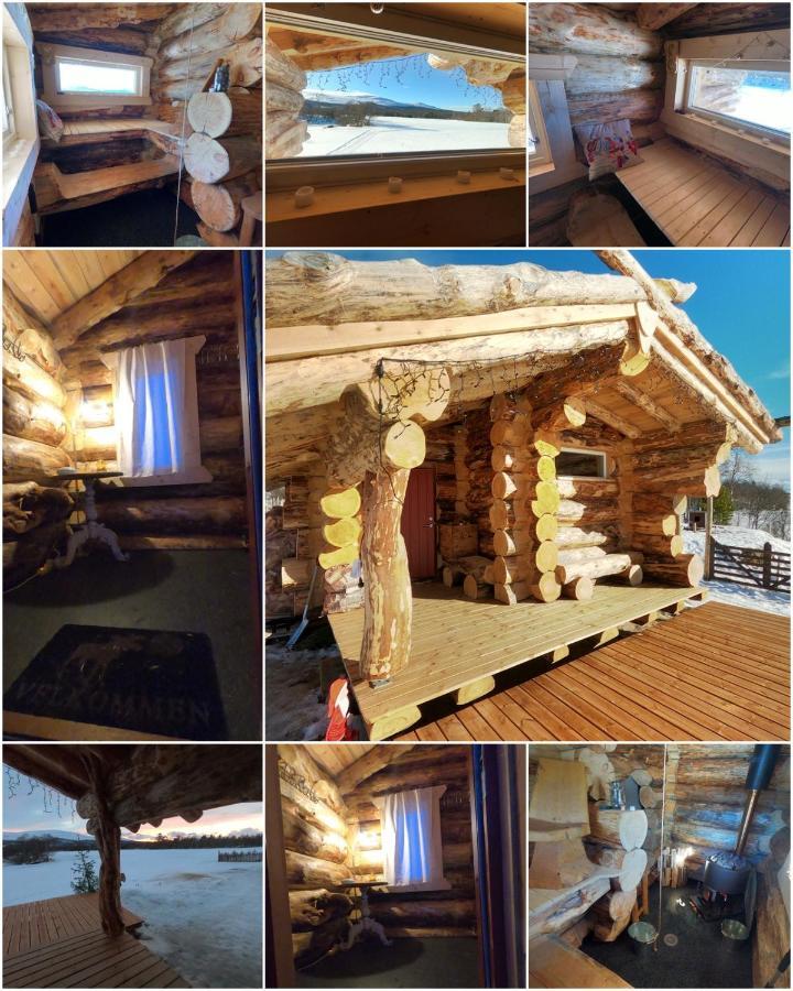 Escapade Norvegienne Apartment Tolga Bagian luar foto